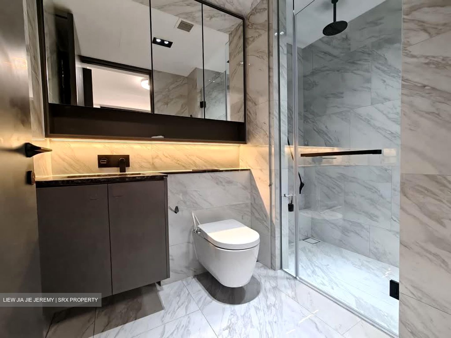 The Landmark (D3), Condominium #527086951